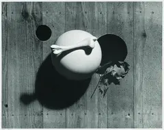 Nature morte by Herbert Bayer, 1936, Gelatin silver print, sold May 2004