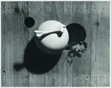 Herbert Bayer, Nature morte, 1936, Gelatin silver print