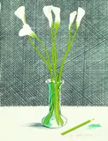 David Hockney, Lillies (Still Life), 1971, Lithograph printed in colours