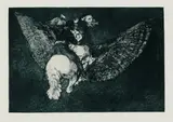 Francisco De Goya, Disparate volante (Fliegende Torheit)