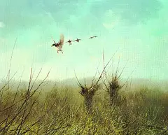 Peter Dik, Auffliegende Stockenten über Wiese mit Kopfweiden, Oil