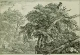 Jakob Isaacksz van Ruisdael, Zwei Bauern mit ihrem Hund, Etching