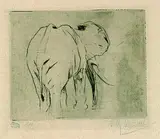 Wilhelm Kuhnert, Afrikanischer Elefant, 1915, Drypoint