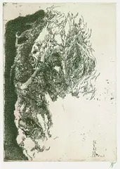Selbstporträt "elegisch" by Horst Janssen, 1982, Etching, sold Mar 2004