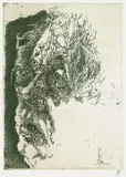Horst Janssen, Selbstporträt "elegisch", 1982, Etching