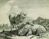 Johann Heinrich Roos, Schafbock links stehend mit einem Huf auf einem liegenden Schaf, 1665, Etching