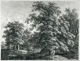 Carl Wilhelm Kolbe, Waldlandschaft
