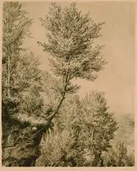 A. Paul Weber, Der Tod stürzt einen Baum herunter, 1937, Pen and Indian ink drawing