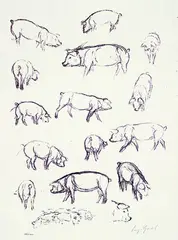 August Gaul, 6 Bll. Tiere, Lithograph