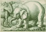 Wenceslaus Hollar, 6 Bll. Tiere