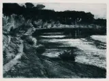 Walter Leistikow, Waldsee, Drypoint