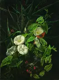 Johan Laurentz Jensen, Zugeschrieben - Blumenstilleben