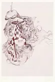 Hans Bellmer, Unterweisungen der Sexualität II, 1974, Copper engraving