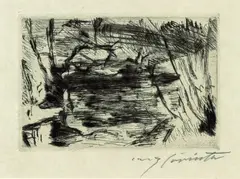 Der neue See by Lovis Corinth, 1920, Drypoint, sold Jun 2003