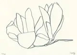 Magnolia by Ellsworth Kelly, 1966, Lithograph, sold Mar 2003