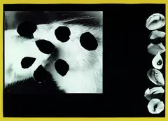 Felix Droese, Die sieben Sinne, 1986, Multiple