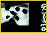 Felix Droese, Die sieben Sinne, 1986, Multiple