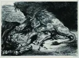 Eugène Ferdinand Victor Delacroix, Lion dévorant un cheval, 1844, Lithograph