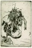 Horst Janssen, Blumen im Glas, 1972, Drypoint