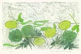 Max Peiffer Watenphul, Stillleben mit Artischocken, 1967, Lithograph printed in colours