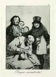 Francisco De Goya, Porque esconderlos?