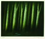 Friedrich Meckseper, Die Quelle, 1981, Aquatint