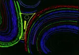 Max Ackermann, Ohne Titel, 1973, Pastel