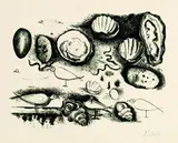Pablo Picasso, Coquillages et Oiseaux, 1946, Lithograph