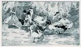 Alexander Koester, Acht laufende Enten, Pencil drawing