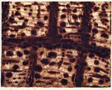 Zoran Mušič, 2 Bll.: Ombre sur le carse. Terres brisées, 1958, Aquatint printed in colours