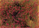 Mark Tobey, Red Trails, 1964, Monotype
