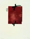 Antoni Tàpies, Un fragment de statue dans l'herbe d'un enclos encore désert, 1984, Portfolio