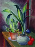 Christian Arnold, Stillleben mit Kaktus und Amaryllis