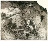 Horst Janssen, Lamme Land, 1993, Colour etching