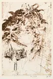Horst Janssen, Selbst, 1976, Etching