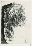 Horst Janssen, 3 Bll.: Selbstporträt "elegisch". Der kleine Angler. Liselotten-Land, 1982, Etching