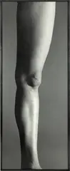 Jambe by Balthasar Burkhard, 1998, Photograph on baryta paper in original iron frame, sold Sep 2024