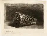 Rembrandt Harmensz van Rijn, Die Muschel (Conus Marmoreus) - The Shell, 1650, Etching, engraving and drypoint on laid paper, possibly with  parts of the watermark "Foolscap with Five-Pointed Collar", Hinterding watermark (vol. II, p. 288 and vol. III, p. 224)