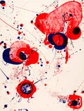Sam Francis, For St. Gallen, 1963, Colour lithograph on wove paper BFK with watermark