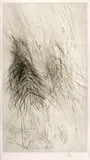 Rolf Iseli, Périgord, 1980, Drypoint on Japan