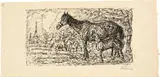Alfred Kubin, Pferd und Fohlen, Pen and ink drawing on cadastral paper
