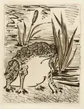 Pablo Picasso, Le Crapaud, Paris, 1936, Aquatint on laid paper with watermark