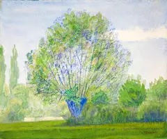 Albert Trachsel, Weidenbaum im Sommer, Around 1920, Watercolour over pencil on wove paper, mounted on cardboard support