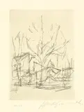 Alberto Giacometti, L'Arbre V, 1955-1956, Etching