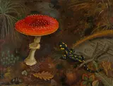 Niklaus Stoecklin, Waldboden mit Fliegenpilz und Salamander, 1940, Oil on canvas