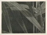 Franz Gertsch, Ausschnitt aus Gräser I, 2002, Anthracite woodcut