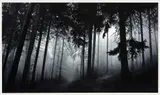 Robert Longo, Fairmount Forest, 2014, Pigment print