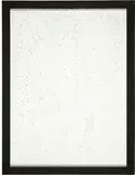 Herman de Vries, Untitled (white painting)