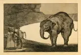 Francisco De Goya, Quien se pondrá el cascabel al gato - Disparate de bestia, 1816-1824, printed before 1877, Etching and aquatint