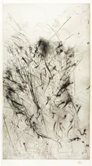 Rolf Iseli, Nagelkopf, 1981, Etching, reworked with the drypoint